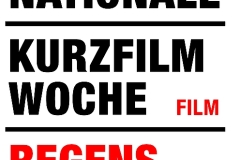 Medienpädagogische Begleitung von Kurzfilmen - Internationale Kurzfilmwoche Regensburg
